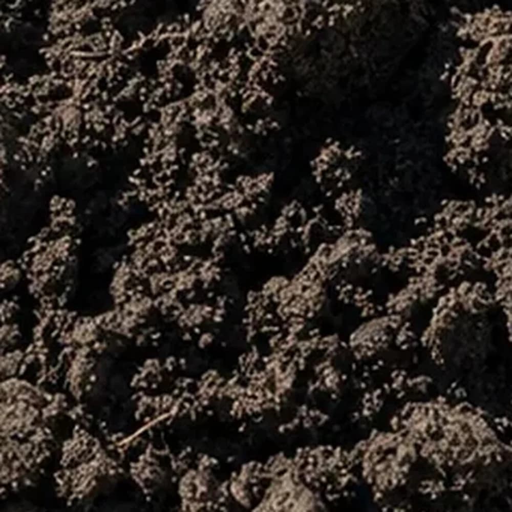 Top Soil